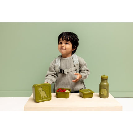 Nesting Snack Boxes, 3-Piece Set – Mr. Dino