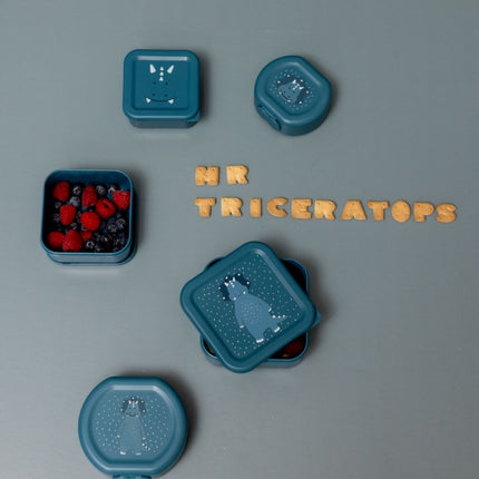 Nesting Snack Boxes, 3-Piece Set – Mr. Triceratops