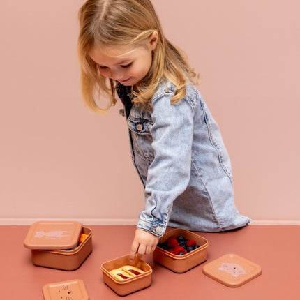 Nesting Snack Boxes, 3-Piece Set – Mrs. Cat