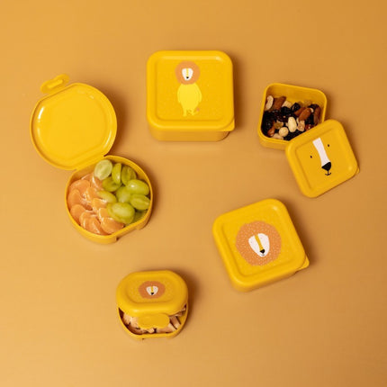 Snack Boxes with Clips, 2-Piece Set – Mr. Lion