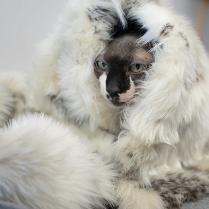 Tösse Blanket - Brown & White 