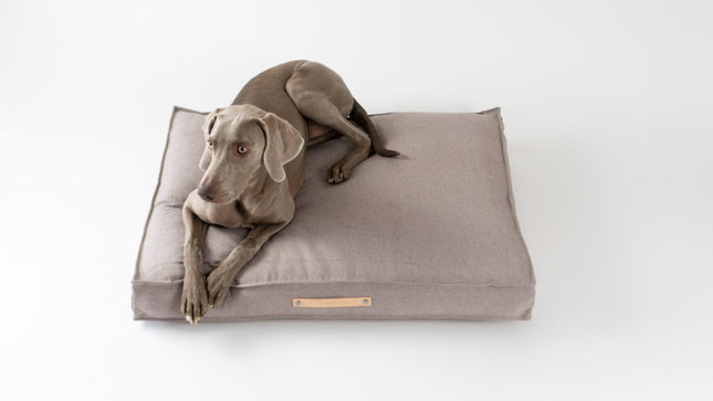 Töve Cushion - Nut 